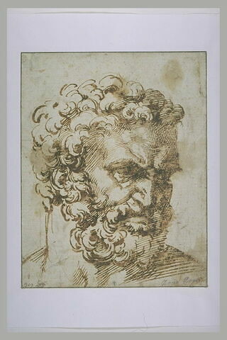 Tête d'homme barbu, vu de trois quarts, tourné vers la droite : Hercule, image 2/2