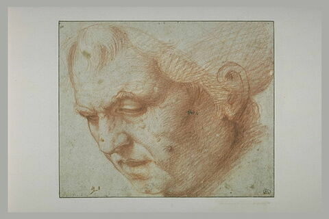 Tête d'homme âgé : portrait dit de Savonarole
