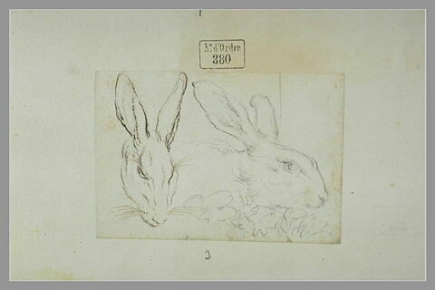 Deux têtes de lapin : l'une de face, l'autre de profil vers la droite