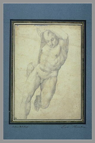 Jeune homme nu, image 1/1