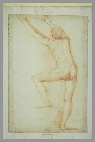 Homme nu, debout, de dos, la jambe gauche pliée, image 1/1