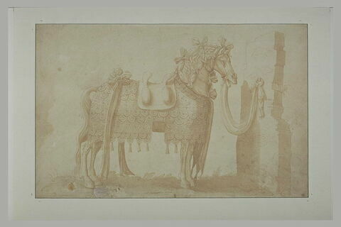 Cheval harnaché d'étoffes et de rubans, attaché à un pilastre, image 2/2