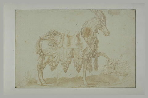 Cheval harnaché de peaux de bêtes, de profil, vers la droite, image 2/2