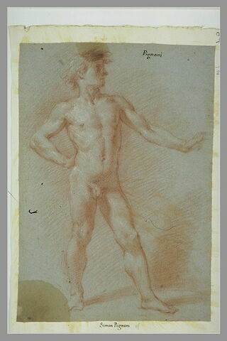Nu masculin, debout, de face, la main droite sur la hanche, image 1/1