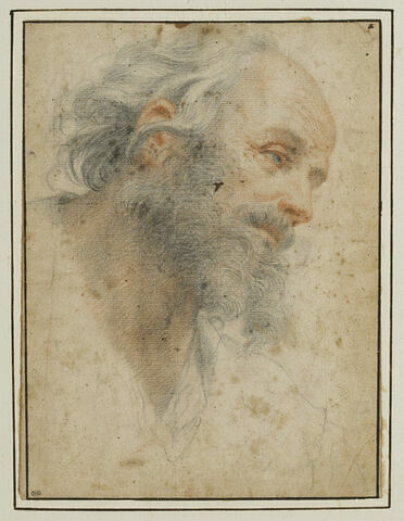 Tête d'homme barbu, vue de trois quarts, tournée à droite, image 1/2
