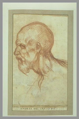 Tête d'homme chauve et barbu, de profil vers la gauche, image 2/2