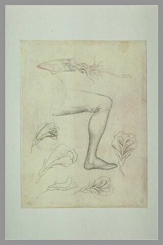 Un poulpe ; une jambe ; des fleurs ; une Vierge à l'Enfant, image 1/1