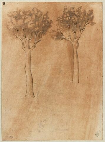 Deux arbres ; esquisse d'un écoinçon (?), image 1/2