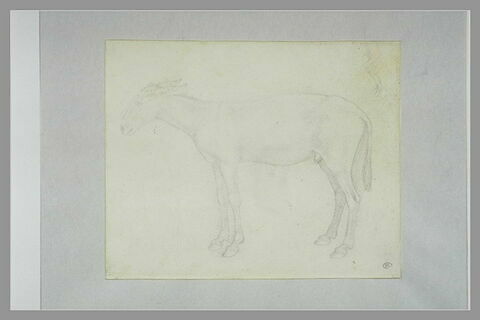 âne debout ; esquisse d'un âne avec un ânier, reprises, image 1/1
