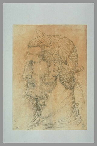 Tête d'empereur Romain couronnée de laurier, de profil, image 1/1