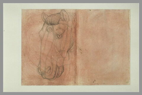 Tête d'un cheval harnaché, de trois quarts vers la gauche, image 1/1