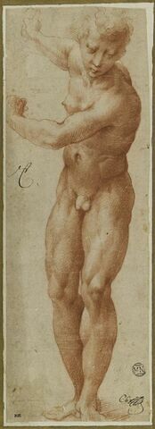 Etude de jeune homme nu, ses deux bras levés et rejetés en arrière, image 1/2