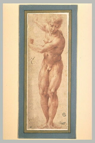 Etude de jeune homme nu, ses deux bras levés et rejetés en arrière, image 2/2