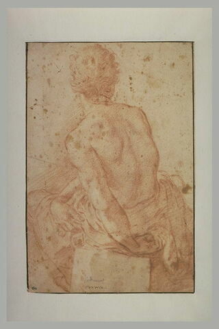 Homme à demi nu, assis, de dos, la main gauche derrière lui, image 1/1