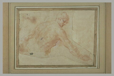 Homme nu, en buste, de dos de trois quarts, la tête de profil vers la droite, image 1/1