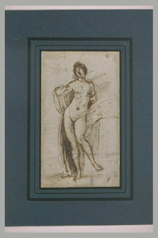 Femme nue, debout, vue de face, image 2/2