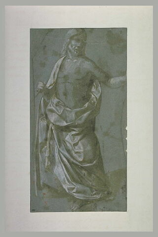 Le Christ debout, vu de face, en Rédempteur, image 1/1