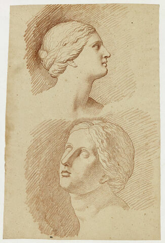 Deux études de la tête d'une fille de Niobé, vue de profil à droite et de trois quarts gauche, image 1/2