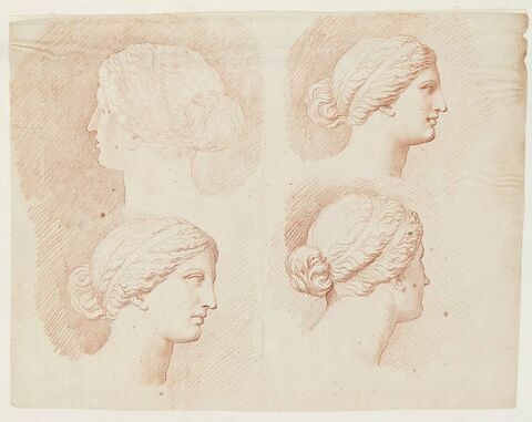 Quatre études de la tête de la Vénus du Belvédère, vue de profil à droite et de trois quarts dos