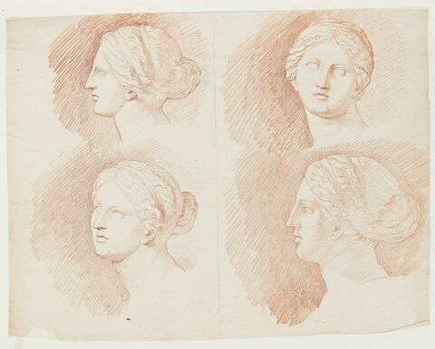 Quatre études de la tête de la Vénus du Belvédère, vue de profil à gauche, de face et de trois quarts face