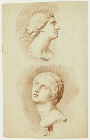 Deux études de la tête d'une fille de Niobé, vue de profil à droite et de trois quarts gauche, image 1/2