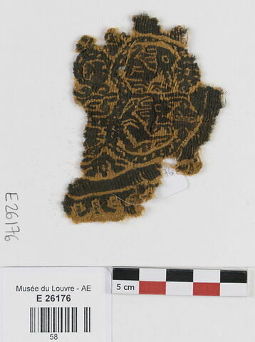 orbiculus ; fragment, image 1/2