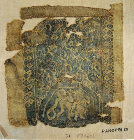 clavus ; fragment, image 2/2