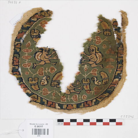 orbiculus ; fragment