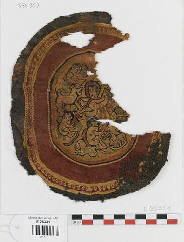 orbiculus ; fragment, image 1/1