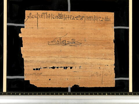 Papyrus Chassinat 9, image 2/2