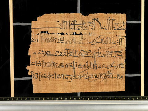 Papyrus Chassinat 9, image 1/2