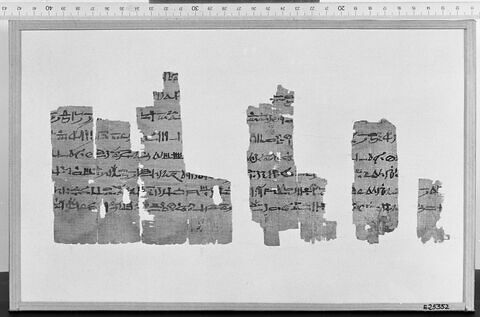 Papyrus Chassinat 2, image 1/1