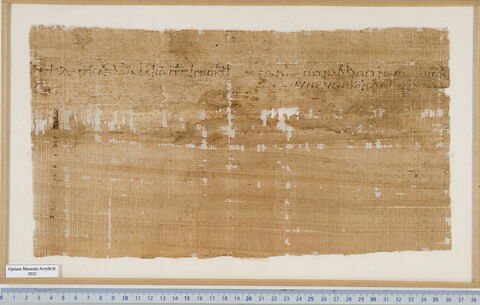 papyrus documentaire, image 2/2