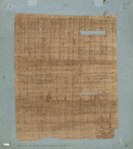 papyrus documentaire, image 2/2