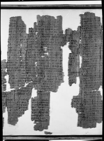 Papyrus Mimaut, image 19/22