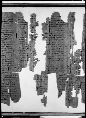 Papyrus Mimaut, image 21/22