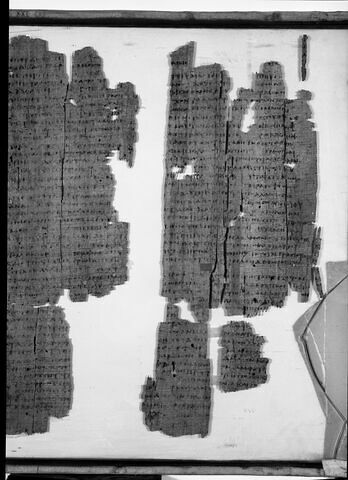 Papyrus Mimaut, image 22/22