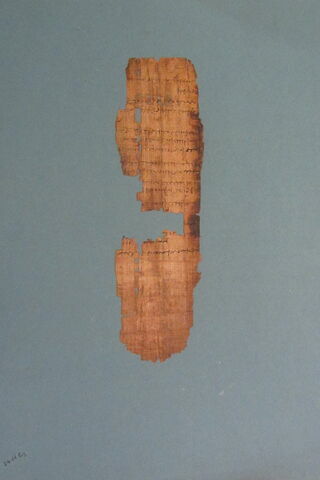papyrus documentaire, image 2/7
