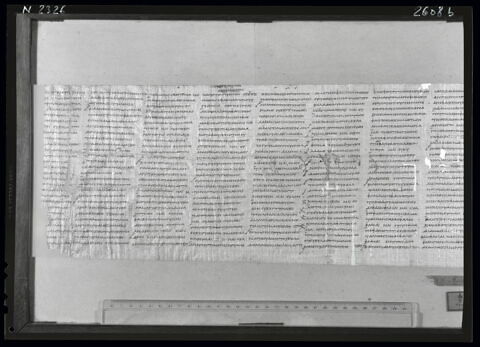 papyrus littéraire ; papyrus documentaire, image 5/6