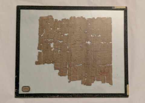 papyrus documentaire, image 2/2