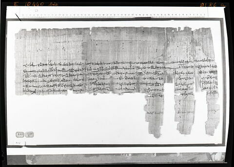 papyrus documentaire, image 1/1