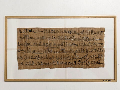 Papyrus Chassinat 11, image 1/2
