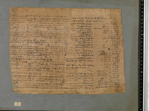papyrus funéraire, image 8/9