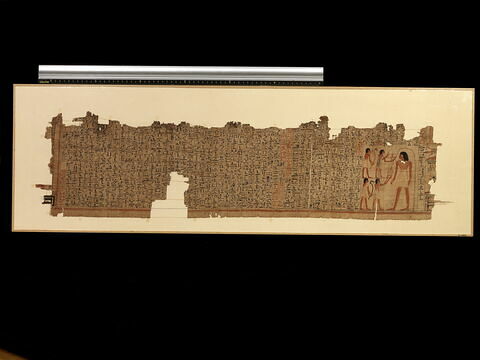 Papyrus Raifé, image 1/2