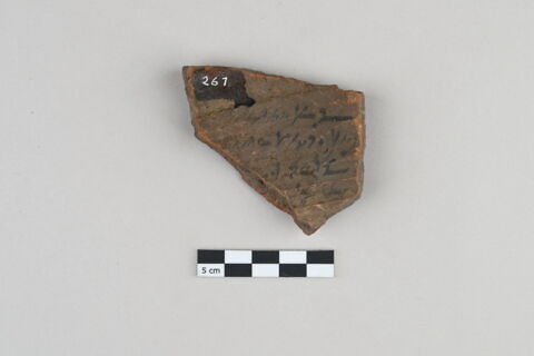 ostracon, image 2/4