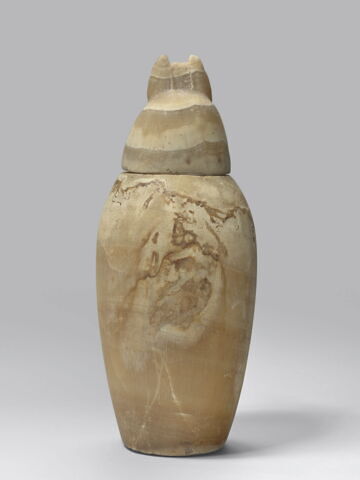 vase canope, image 5/5