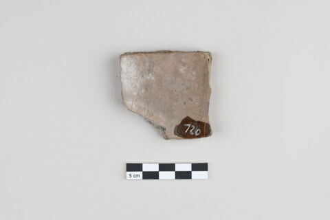 ostracon, image 2/3