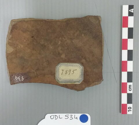 ostracon, image 2/3