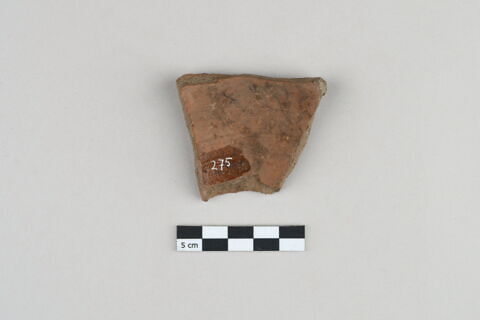 ostracon, image 2/3