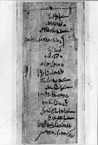 papyrus documentaire, image 5/5